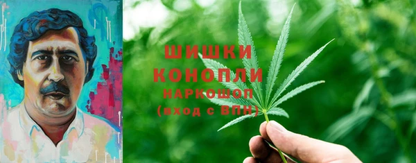 ПСИЛОЦИБИНОВЫЕ ГРИБЫ Зеленокумск