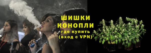 молекула духа Зеленодольск