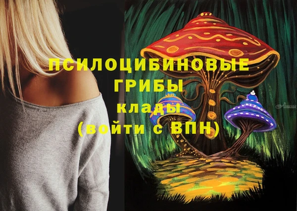молекула духа Зеленодольск