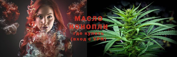 молекула духа Зеленодольск