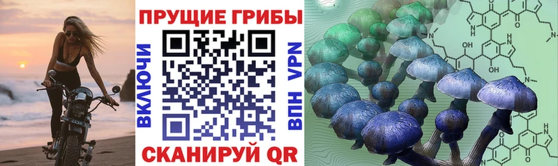 Псилоцибиновые грибы прущие грибы  Купить где  Ирбит 